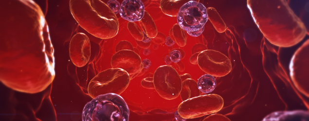 Vascular Photo