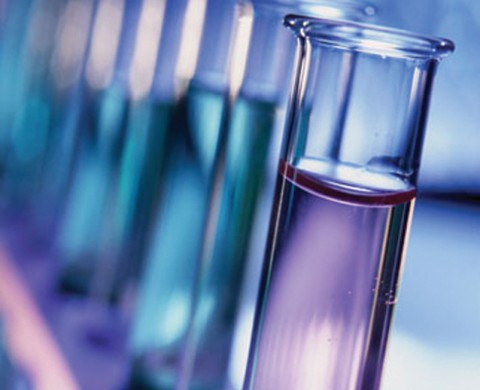 Nebraska Coalition for Ethical Research