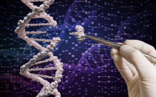 iStock-845814134 istock Crispr